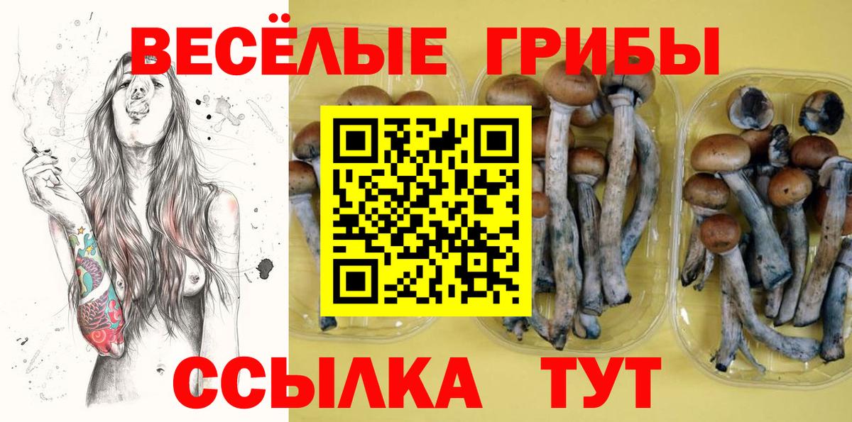 Галлюциногенные грибы Cubensis  где найти   Дзержинский  Вход с VPN  Псилоцибиновые грибы Magic Shrooms 
