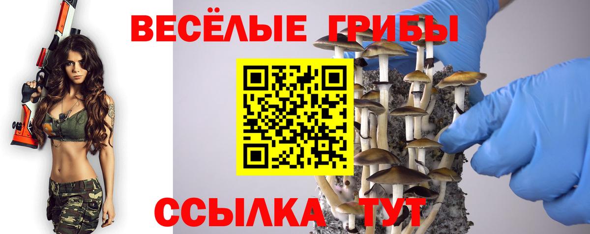 Псилоцибиновые грибы мухоморы Дзержинский